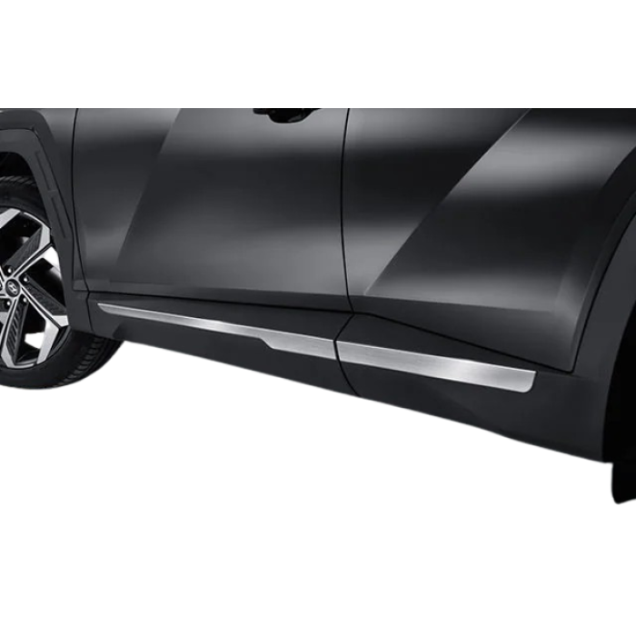 Молдинг дверний (4 шт, нерж) для Hyundai Tucson NX4 2021- рр