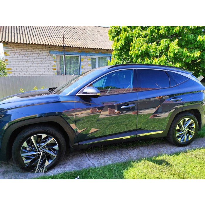 Молдинг дверний (4 шт, нерж) для Hyundai Tucson NX4 2021- рр