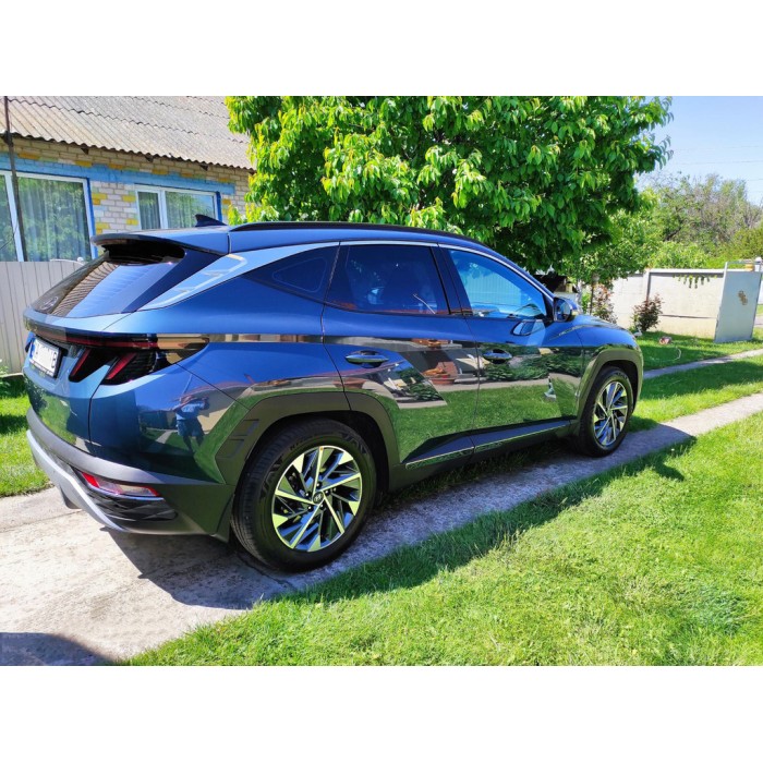 Молдинг дверний (4 шт, нерж) для Hyundai Tucson NX4 2021- рр