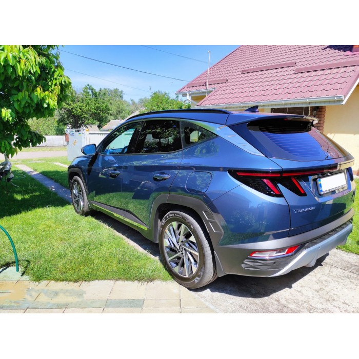 Молдинг дверний (4 шт, нерж) для Hyundai Tucson NX4 2021- рр