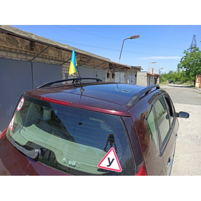 Рейлінги Чорні (2 шт) Коротка база для Renault Scenic/Grand 2003-2009 рр