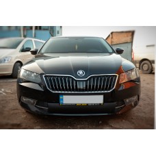 Зимова накладка на решітку (нижня) Глянцева для Skoda Superb 2015-2024 рр