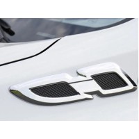 Накладки на крылья Libao 2016-2018 (2 шт, пласт) для Toyota Rav 4