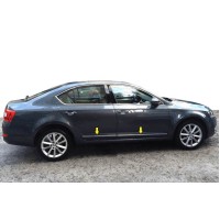 Молдинг дверей (нерж) для Skoda Octavia III A7 2013-2019рр